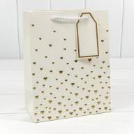 Пакет подарочный с тиснением "Сердечки" (микс 1) 18*23*10 210г 1/20 1/360 Арт: 000880E - Пакет подарочный с тиснением "Сердечки" (микс 1) 18*23*10 210г 1/20 1/360 Арт: 000880E