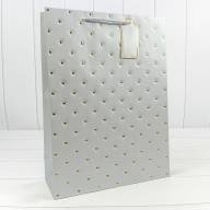 Пакет подарочный с тиснением "Сердечки" (микс 2) 31*42*12 210г 1/20 1/80 Арт: 000545A - Пакет подарочный с тиснением "Сердечки" (микс 2) 31*42*12 210г 1/20 1/80 Арт: 000545A