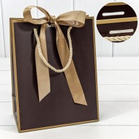 Пакет подарочный с лентой 18*23*10 210г Коричневый 1/10 1/160 Арт: 000503E/2