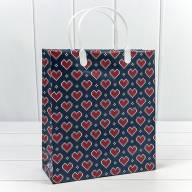 Пакет мягкий пластик Мужской (ассортимент) 23*26*10 1/20 1/200 Арт: BAS-2 - Пакет мягкий пластик Мужской (ассортимент) 23*26*10 1/20 1/200 Арт: BAS-2